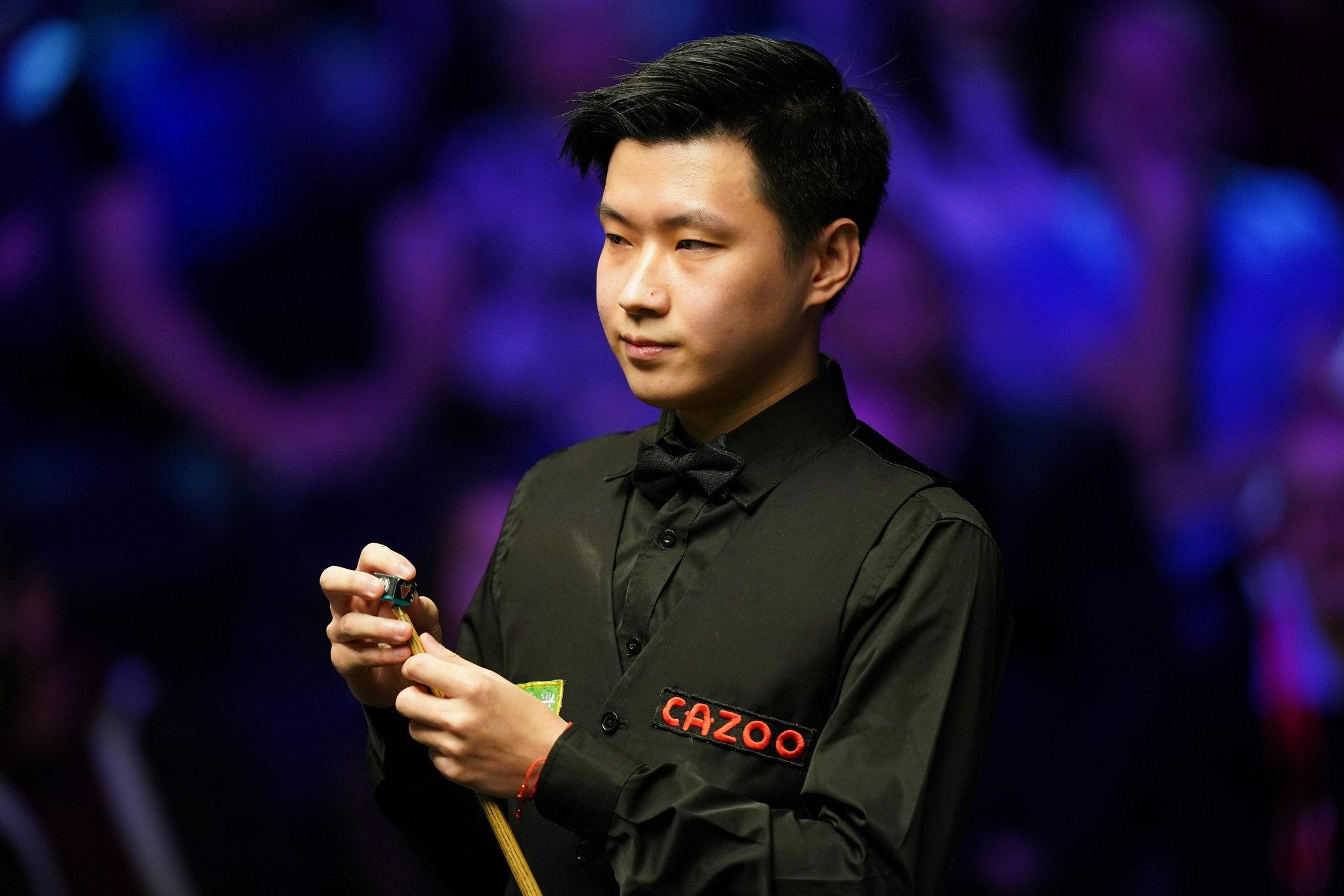 象也因这种 象也因这种