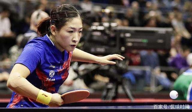 球迷与球队 球迷与球队