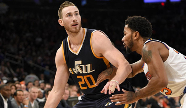 林的赛场上 林的赛场上