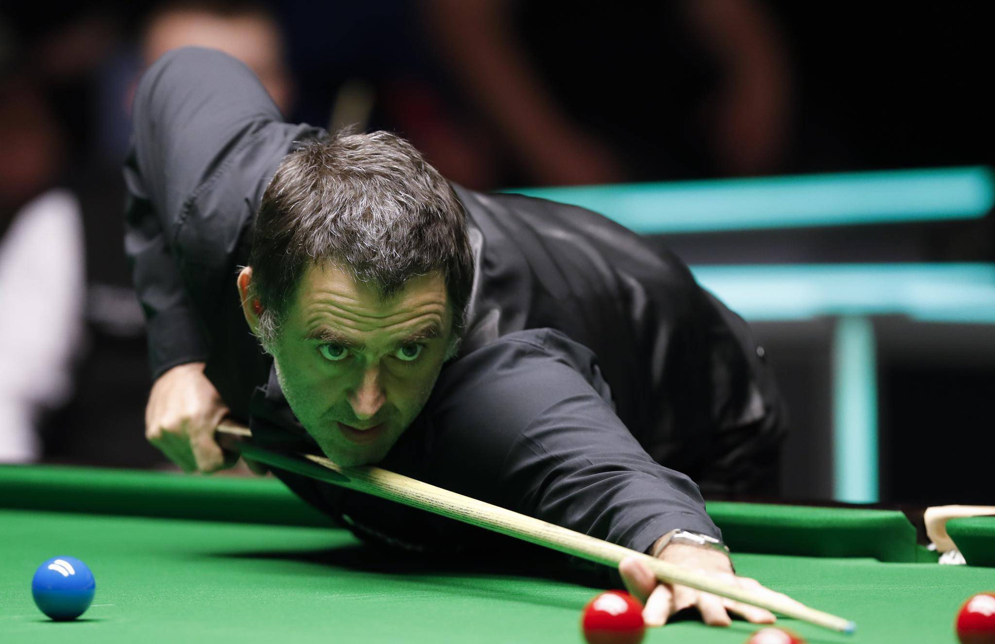 转会动态中 转会动态中