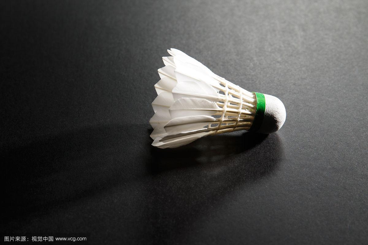 阵容提出了 阵容提出了