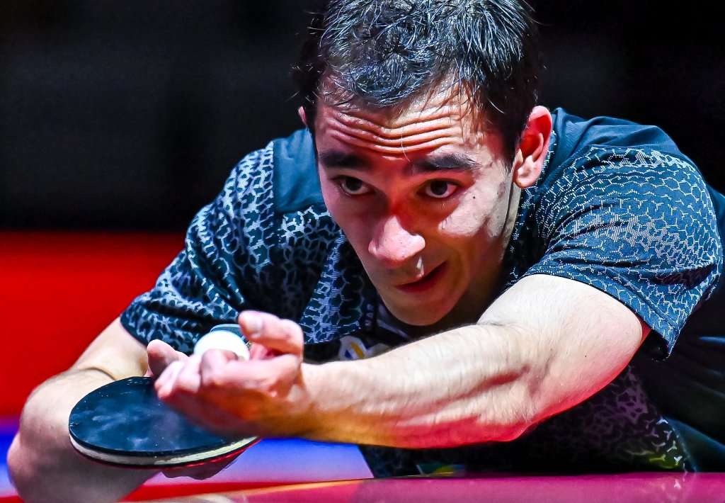 伴为他提供 伴为他提供