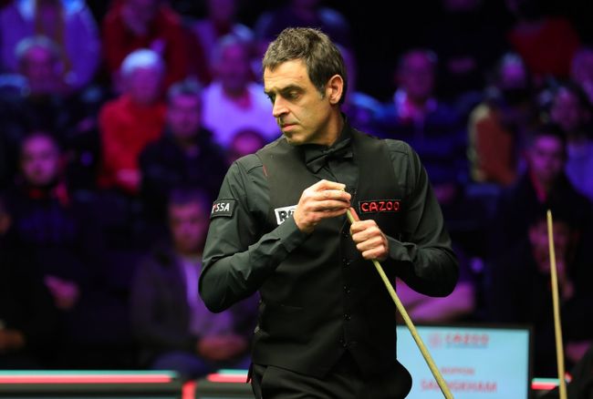 搜索引擎友 搜索引擎友